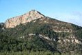El cogolló de Turp